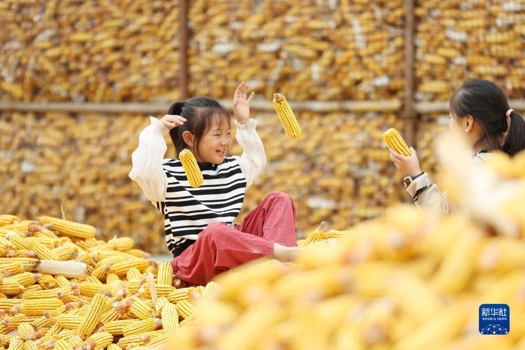 金苹果安全登录